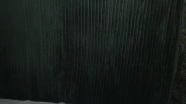 1BECHA1 online show from December 2025 07:49:01 AM