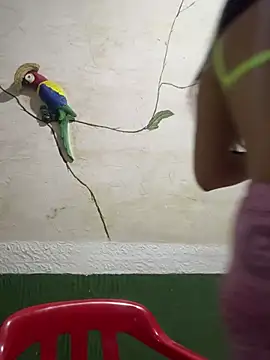 Snapshot of Karla-sexy01 chatting on January 2025 03:07:02 AM Karla-sexy01 online show from January 2025 03:07:02 AM