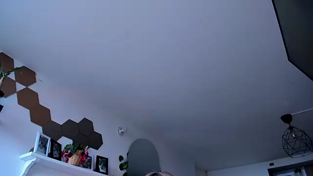 evy orange1 online show from March 2026 12:12:02 PM