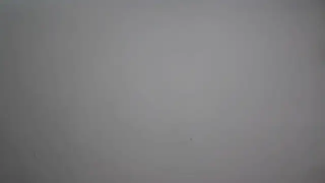 Cute-Tanya online show from February 2026 01:59:01 PM