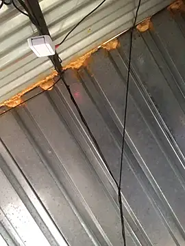 Snapshot of realGsign chatting on February 2025 03:12:02 PM realGsign online show from February 2025 03:12:02 PM