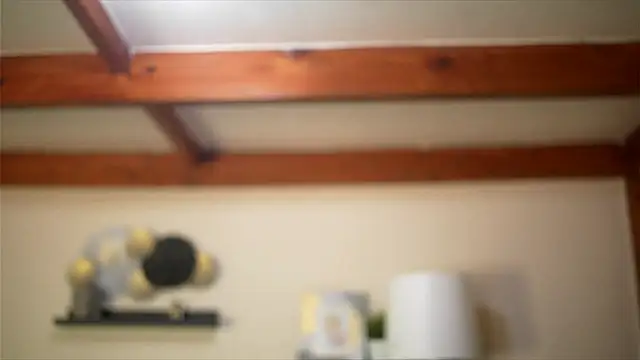 Bellis Perenis online show from February 2026 09:05:02 AM