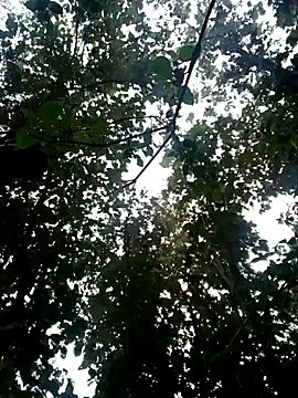 Snapshot of Fucker_boy_1 chatting on January 2025 03:50:02 AM Fucker boy 1 online show from January 2025 03:50:02 AM