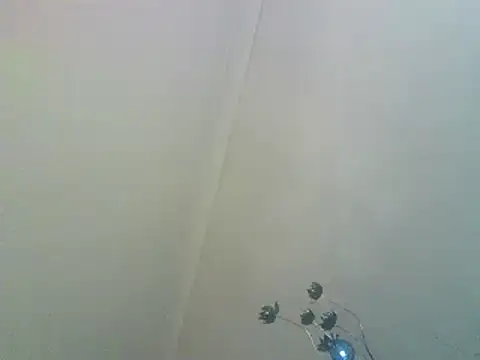 Snapshot of PocoLoco420 chatting on February 2026 11:25:01 PM PocoLoco420 online show from February 2026 11:25:01 PM