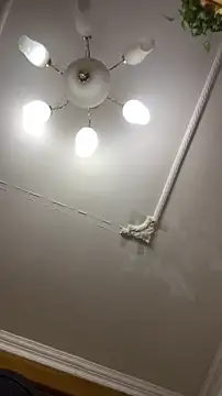 Snapshot of shuai321 chatting on December 2024 01:43:02 PM shuai321 online show from December 2024 01:43:02 PM