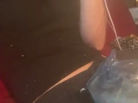 skatebored online show from January 2025 04:51:02 PM