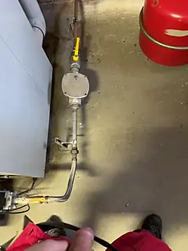 Loveboy 1987 online show from March 2026 07:59:01 AM