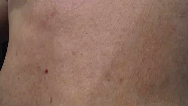 Toy-Daddy online show from November 2025 12:33:01 AM