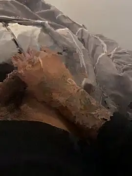 Snapshot of Nathan12- chatting on September 2025 02:41:01 PM Nathan12- online show from September 2025 02:41:01 PM