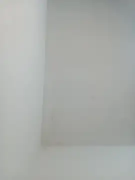 Snapshot of igor_miller20 chatting on February 2025 09:29:02 PM igor miller20 online show from February 2025 09:29:02 PM