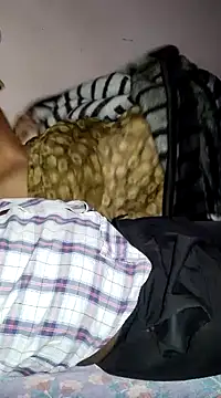 FeltedEuropium online show from February 2025 07:24:02 AM