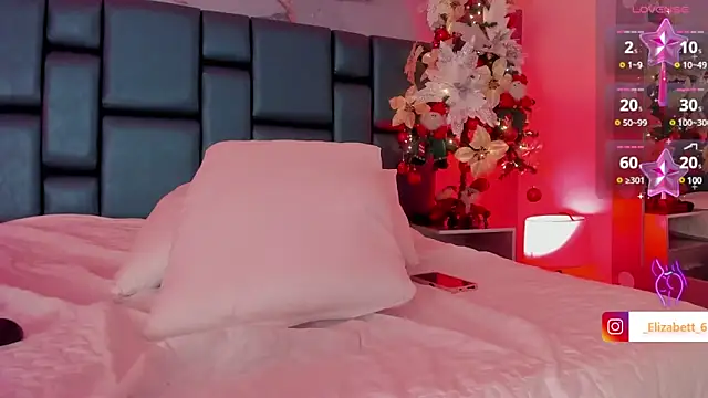 Snapshot of ELIZABETT_ chatting on December 2024 04:05:01 PM ELIZABETT online show from December 2024 04:05:01 PM