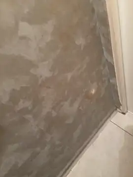 Snapshot of voliv34 chatting on February 2026 01:51:01 PM voliv34 online show from February 2026 01:51:01 PM