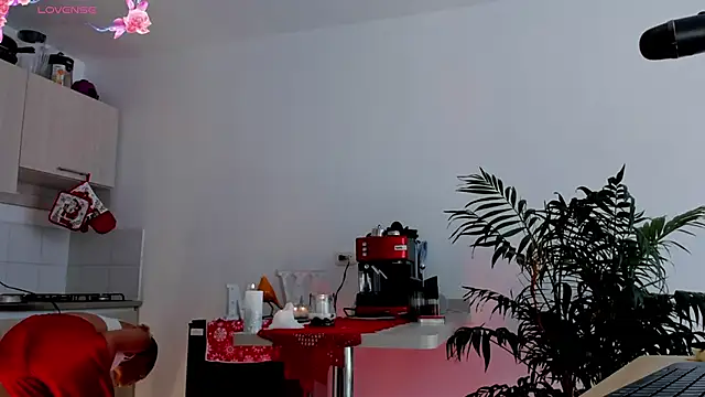 wendymoah online show from December 2024 07:54:01 PM