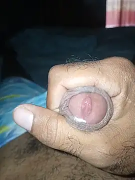 taylorWiiz online show from January 2026 04:31:02 PM