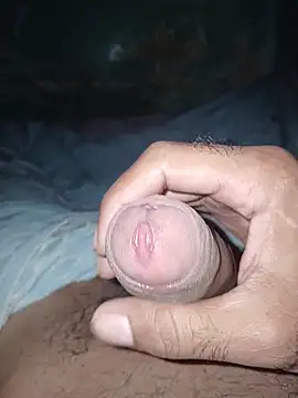 taylorWiiz online show from March 2026 05:02:01 AM