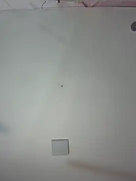 Snapshot of kiim_taaylor chatting on February 2026 11:31:02 AM kiim taaylor online show from February 2026 11:31:02 AM