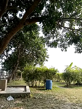 Hot Urvi online show from December 2025 07:04:02 AM