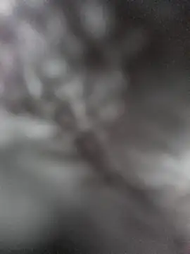 hungarian dick online show from January 2025 09:37:02 AM