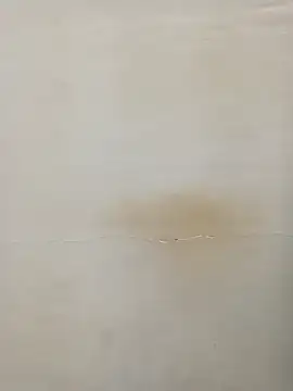 Snapshot of Rina777o chatting on March 2025 06:11:02 PM Rina777o online show from March 2025 06:11:02 PM