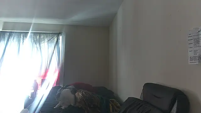 RickStone51 online show from March 2026 07:21:02 PM