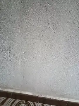 Snapshot of El_baby12 chatting on September 2025 04:21:02 PM El baby12 online show from September 2025 04:21:02 PM