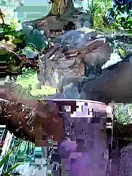 gwadaa9 online show from December 2025 06:16:01 PM