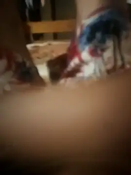 Snapshot of PussyMasterPhD1 chatting on November 2025 09:15:01 PM PussyMasterPhD1 online show from November 2025 09:15:01 PM