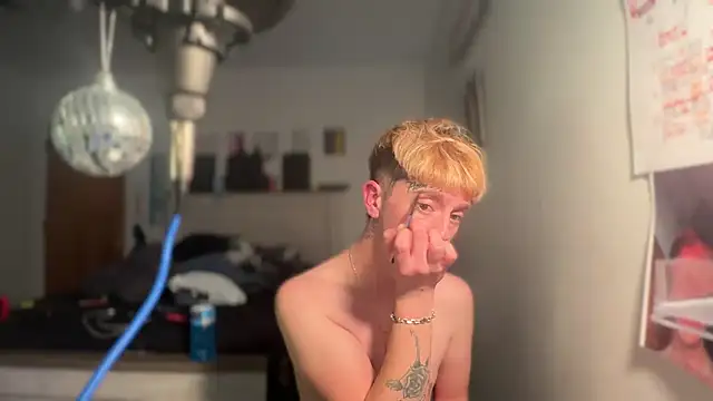 Snapshot of twentywithafelonyy chatting on February 2025 08:04:01 AM twentywithafelonyy online show from February 2025 08:04:01 AM