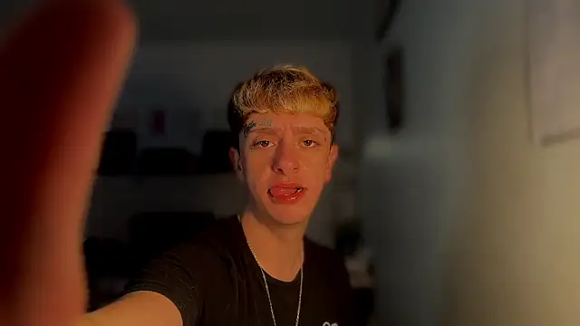 Snapshot of twentywithafelonyy chatting on March 2025 03:36:02 PM twentywithafelonyy online show from March 2025 03:36:02 PM