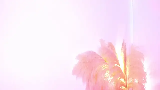 amelie murphy  online show from February 2025 05:04:02 PM