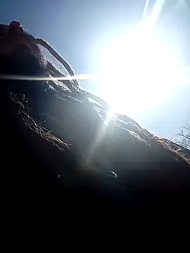 Snapshot of QcMisterv13 chatting on March 2025 05:57:01 PM QcMisterv13 online show from March 2025 05:57:01 PM