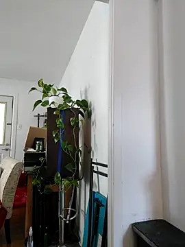 Snapshot of QcMisterv13 chatting on September 2025 02:22:02 PM QcMisterv13 online show from September 2025 02:22:02 PM