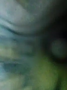 Snapshot of QcMisterv13 chatting on November 2025 02:39:02 PM QcMisterv13 online show from November 2025 02:39:02 PM