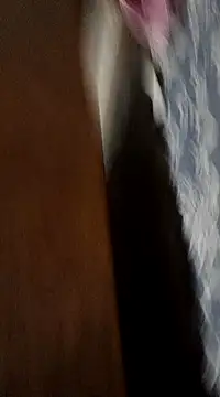 Sexoardiente69 online show from January 2025 06:53:02 AM