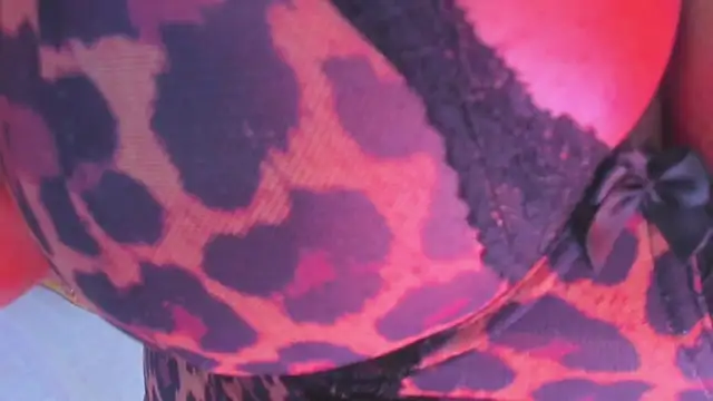 cookplleaser online show from February 2025 01:08:02 PM