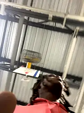 Snapshot of sneakylink13__ chatting on October 2025 01:17:01 AM sneakylink13 online show from October 2025 01:17:01 AM