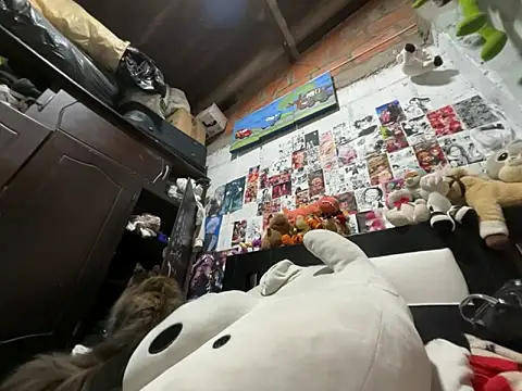 dafne19  online show from February 2026 04:11:01 AM