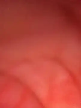 ambarlennoix online show from October 2025 08:01:01 AM