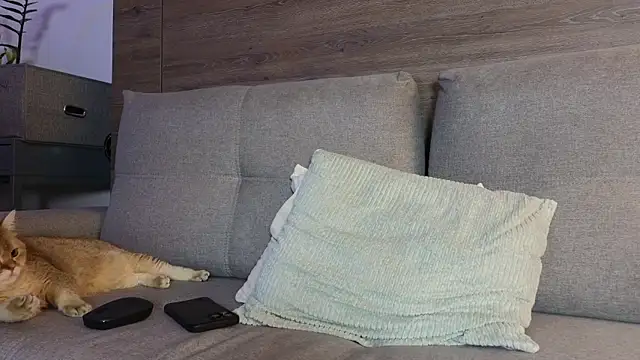 SultryAndrewww online show from January 2026 12:40:02 PM