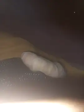 Eldelas guachas online show from December 2025 09:25:01 AM