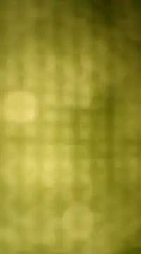 Snapshot of Sexybeer2005 chatting on December 2024 10:06:01 PM Sexybeer2005 online show from December 2024 10:06:01 PM