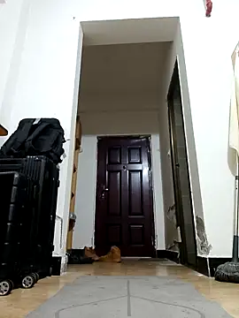 DDYY12341 online show from November 2025 11:58:01 AM