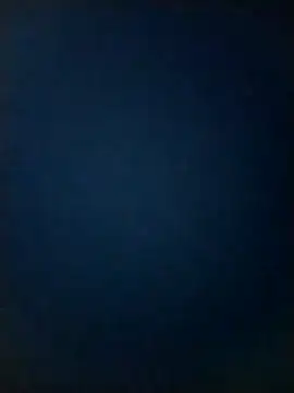 cindy damm online show from December 2024 06:34:01 PM
