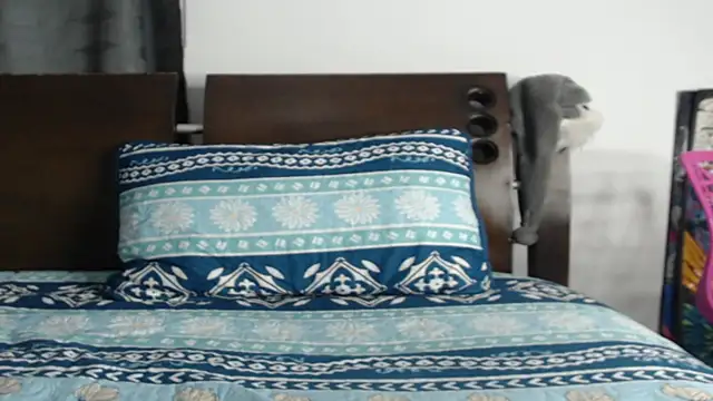 Tobicutee online show from February 2026 04:17:02 AM