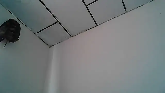 Alphadavid 23 online show from April 2026 04:02:02 PM