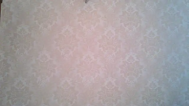 Kashtanka  online show from November 2025 08:57:02 AM