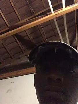 thekidrose online show from December 2025 05:35:02 AM