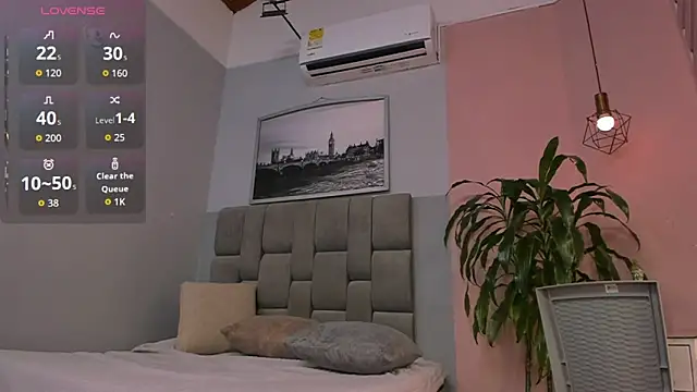 dyvis 22 online show from March 2026 11:49:02 AM