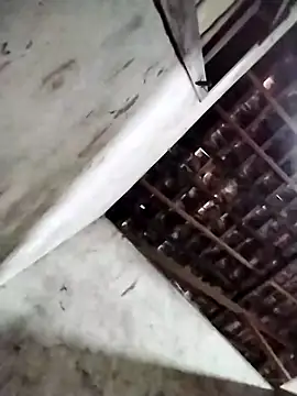 Leonelzain online show from March 2026 04:42:01 AM